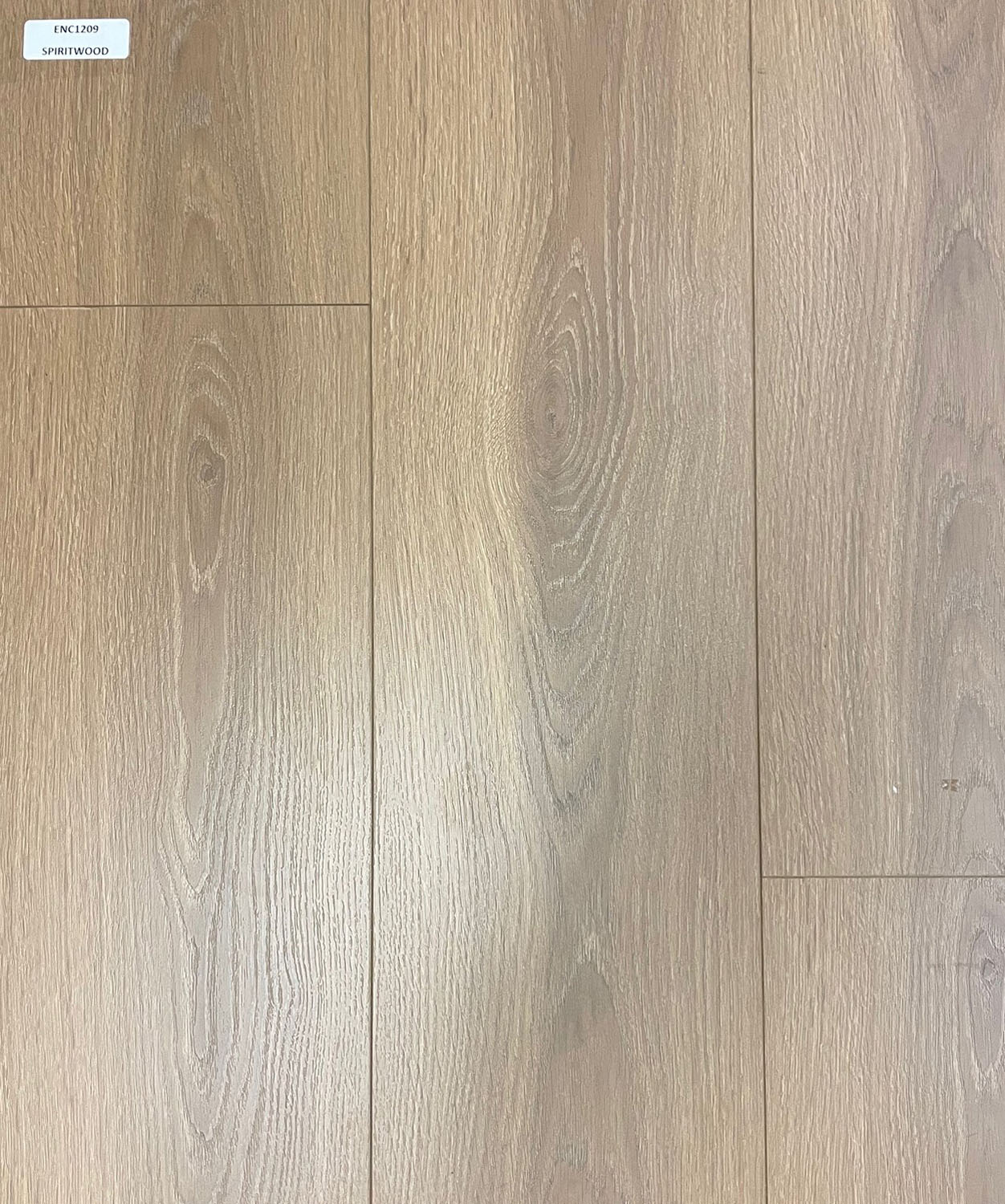 ENC1209 Spiritwood