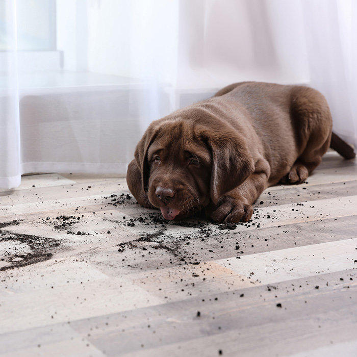 Protects against tough scratches